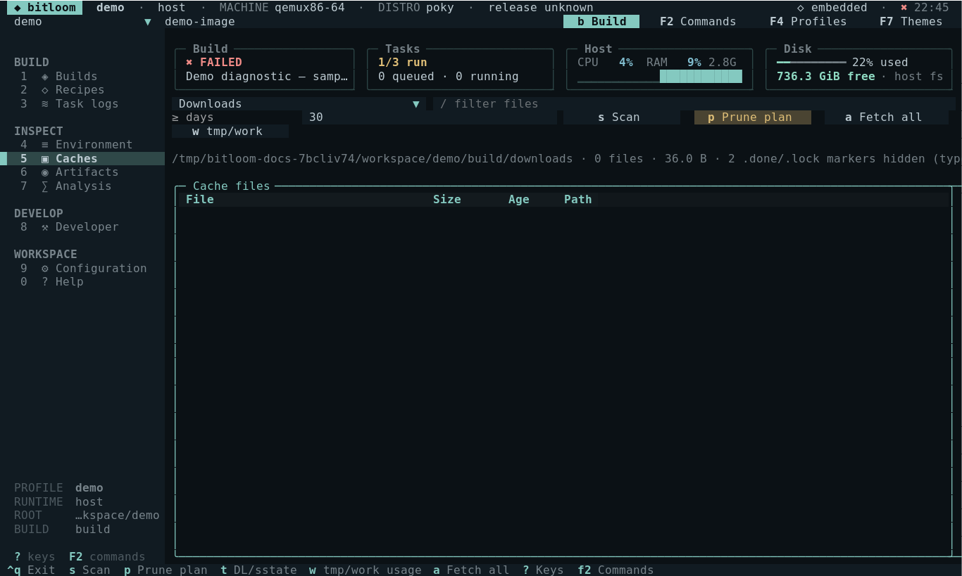 Download cache file inventory
