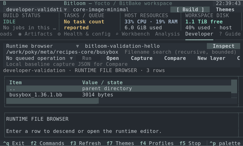 Developer · 80 × 24